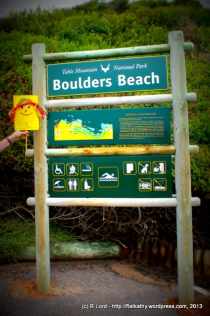 We visit Boulders Beach and walk along the boardwalk