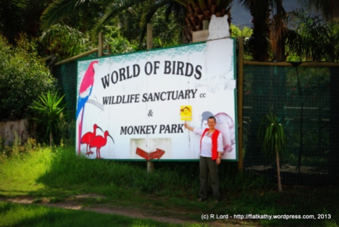 Welcome to the World of Birds Wildlife Sanctuary and Monkey Park in Hout Bay