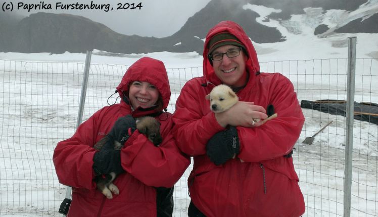 These two gorgeous puppies in Paprika and Oregano's arms may well be the future Iditarod champions